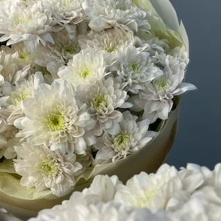 Букет из 5 кустовых хризантем Pastela Rose