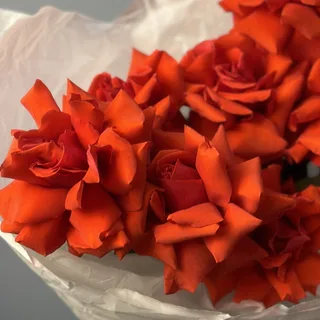Букет из 7 французских роз Nina