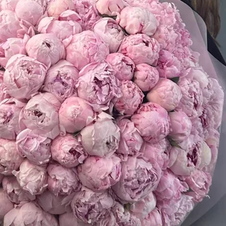 Букет из 101 розового пиона