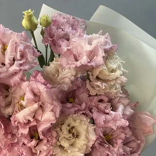 Букет из 9 розовых эустом (лизиантусов)