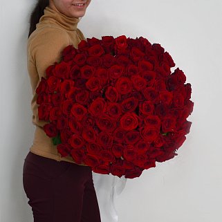 Букет из 101 красной розы 60см (Россия)