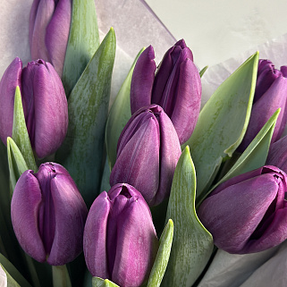 Букет из 11 фиолетовых тюльпанов