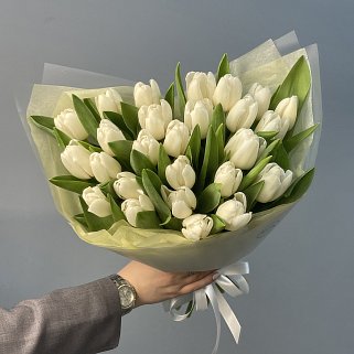 Букет из 25 белых тюльпанов