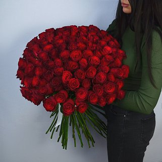 Букет из 101 бордовой розы 60см (Кения Премиум)