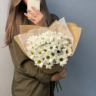 Букет из 5 белых кустовых хризантем Bacardi